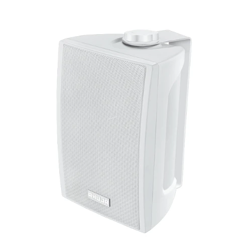 Ahuja PS-300TM 10 WATTS 2-Way Compact PA Wall Speaker